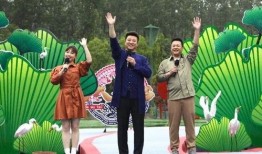 新疆歌手爆料视频最新,揭秘幕后真相与行业乱象